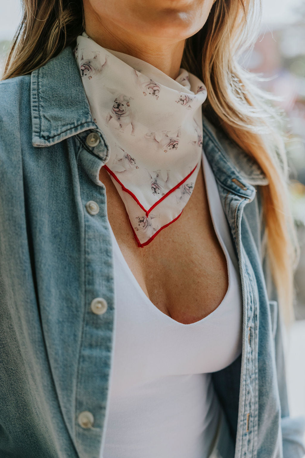 Bulldog Chiffon Scarf | 20" Square Scarf