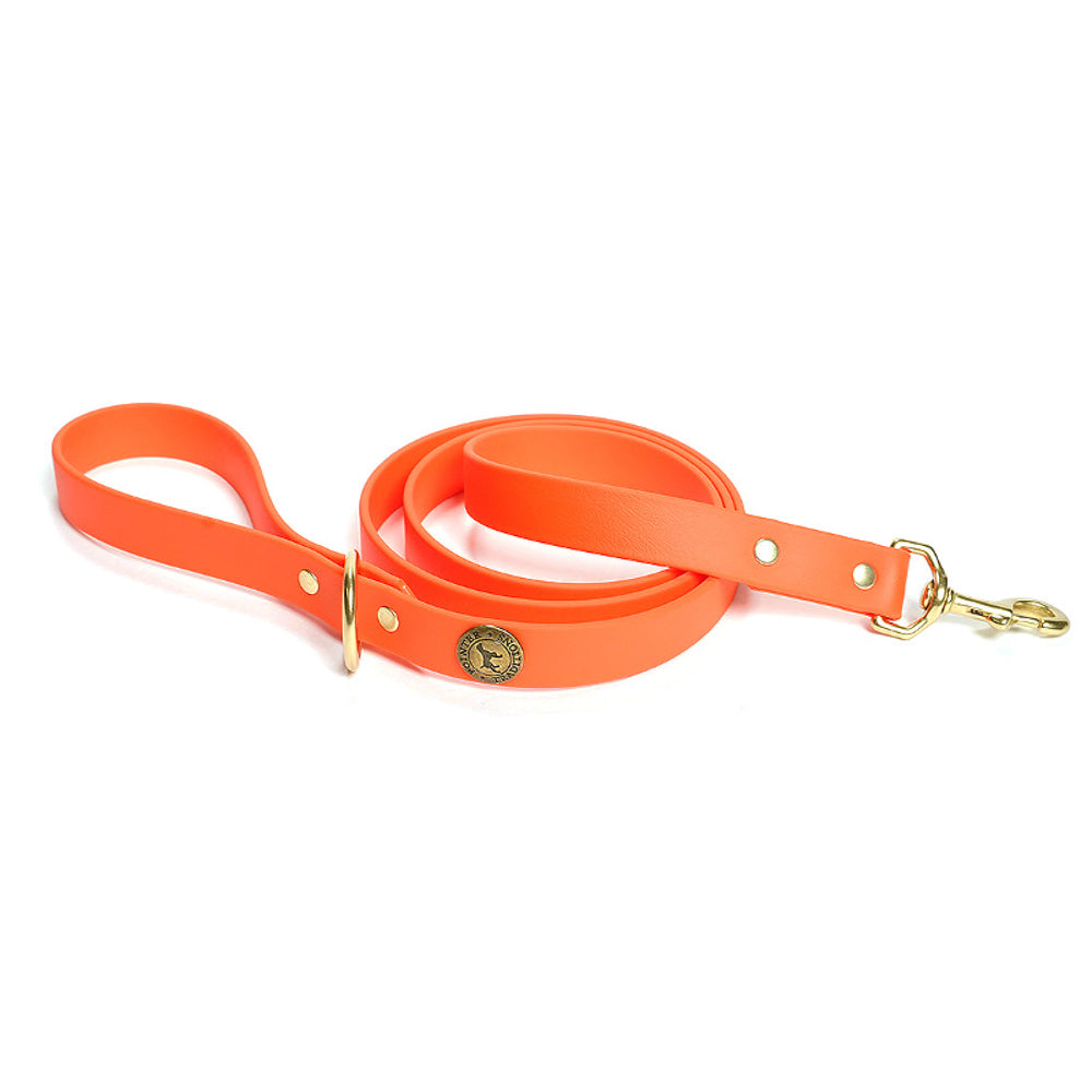 Sporting Dog Leash