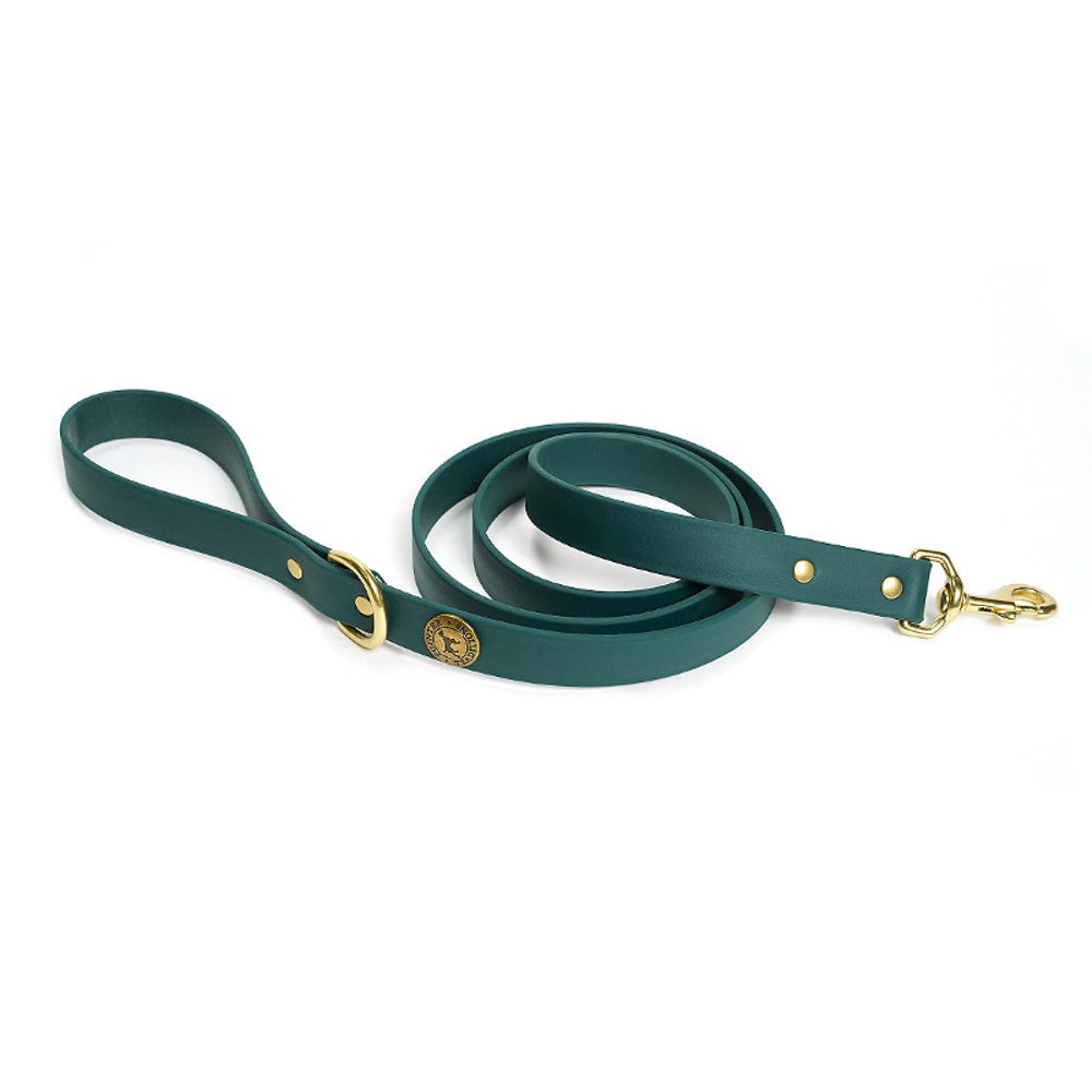 Sporting Dog Leash