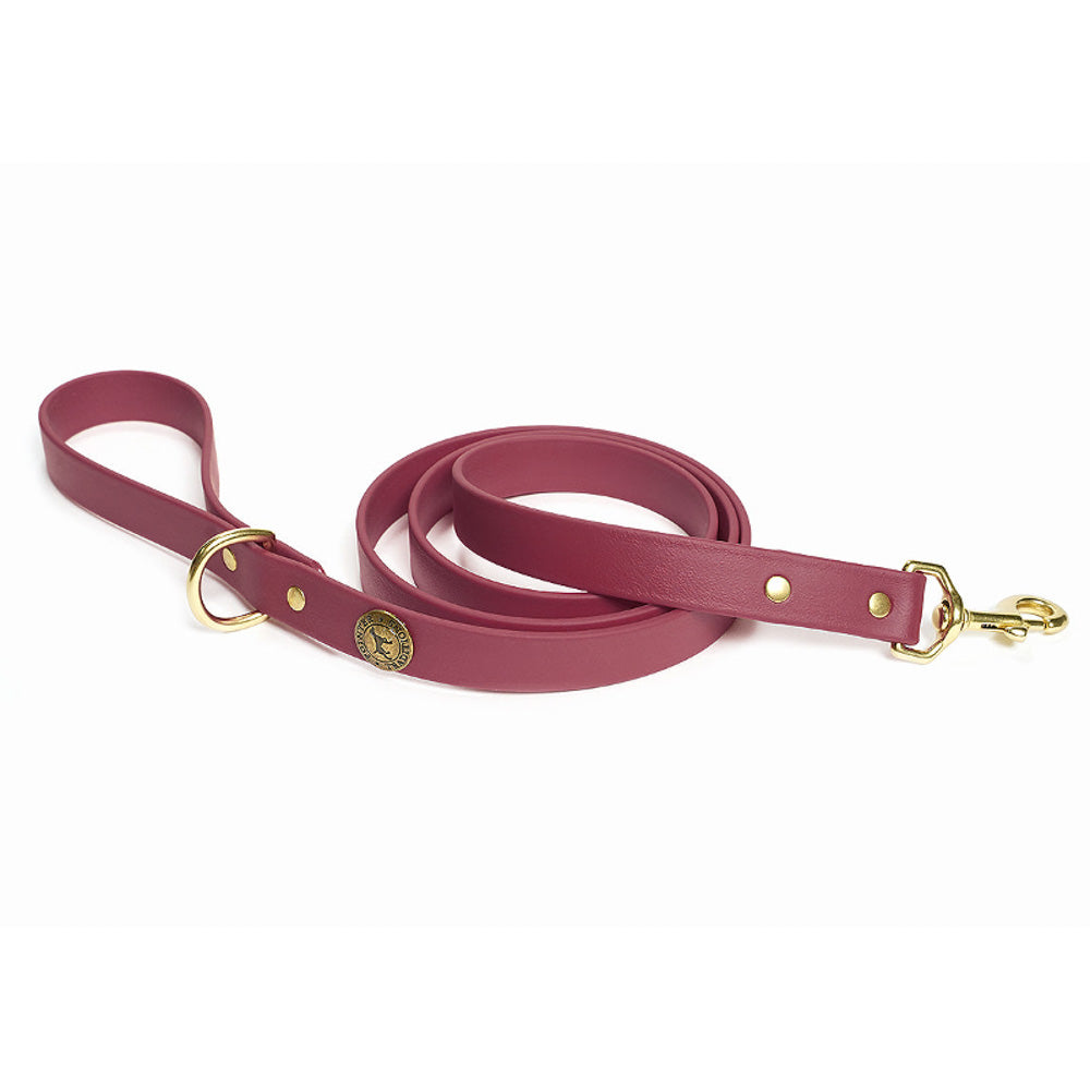 Sporting Dog Leash