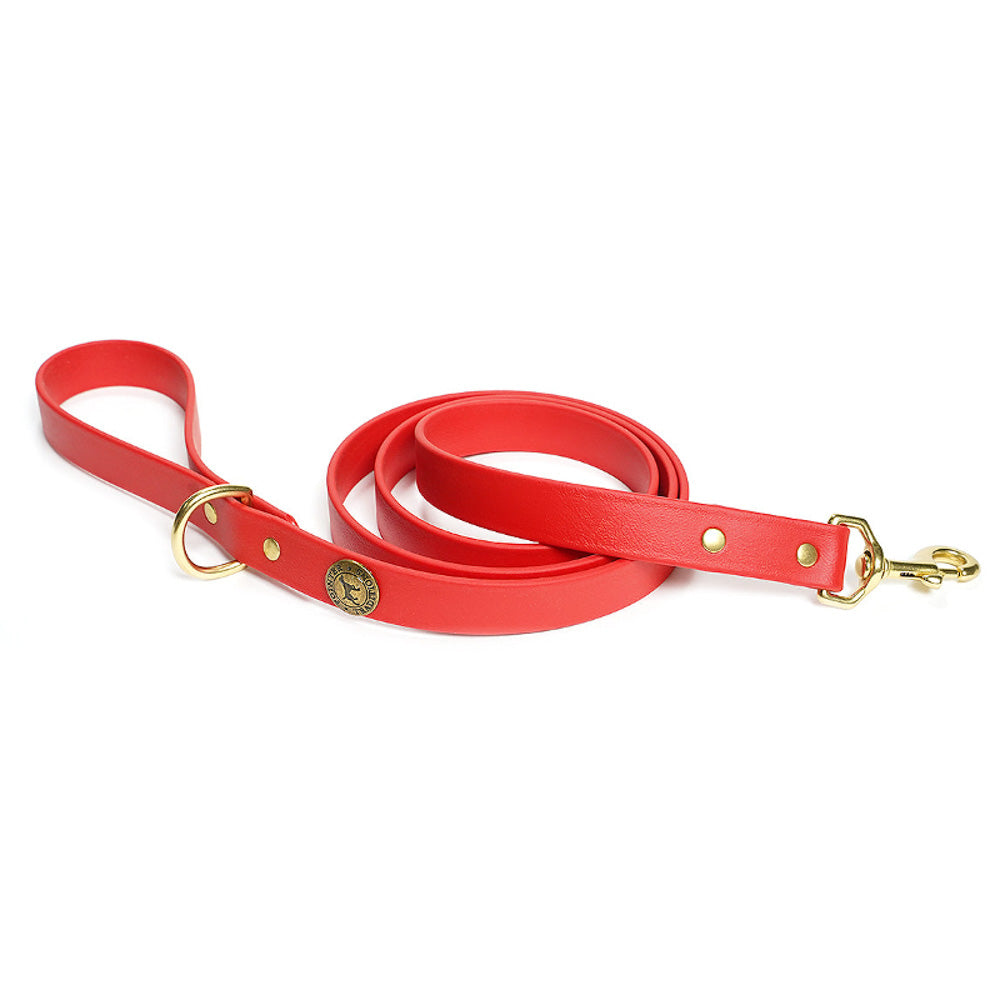 Sporting Dog Leash