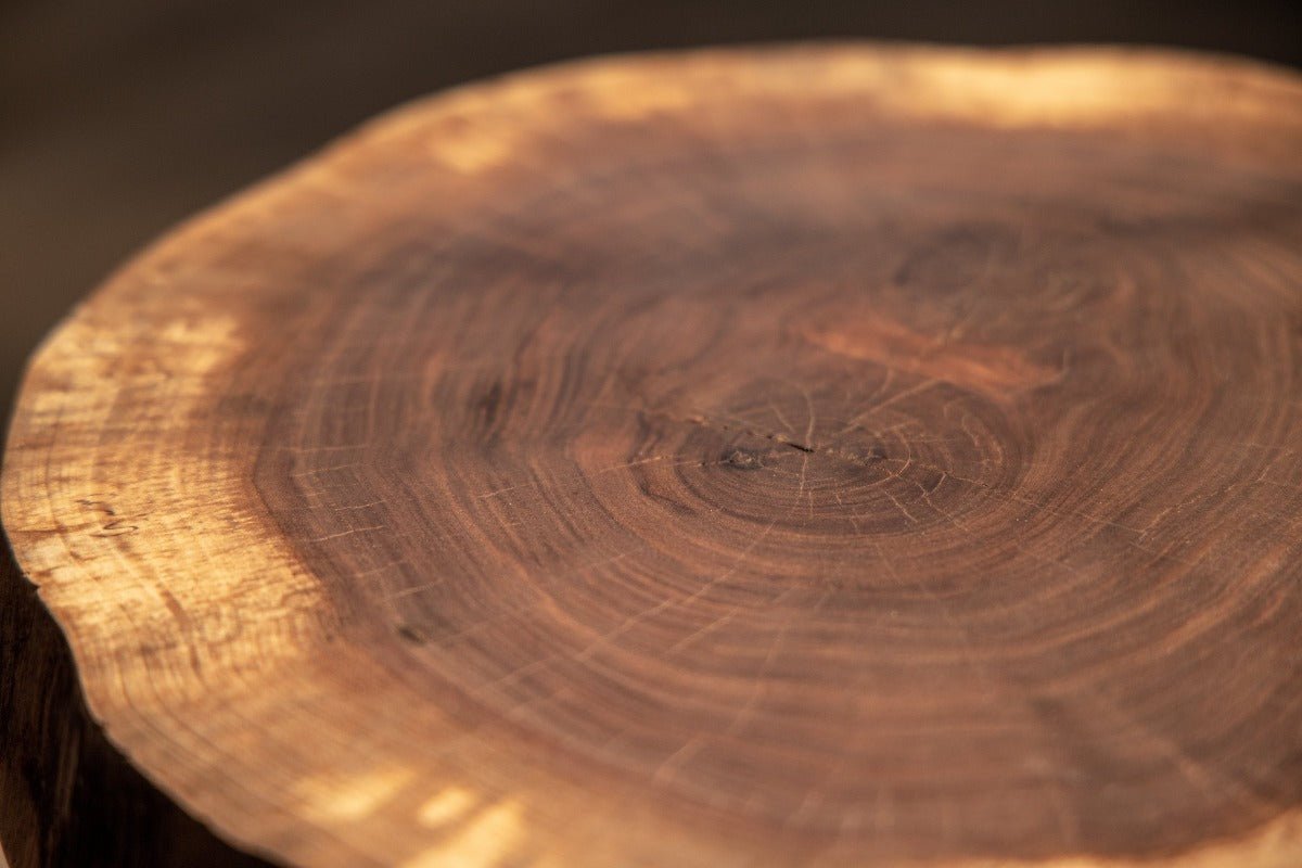 Live Edge Round Side Table | Fossil Table
