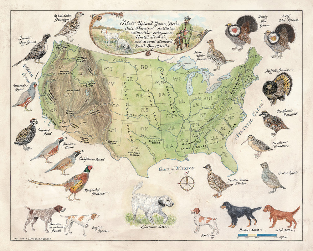 Upland Game Birds of the United States and Select Pointing Dog Breeds
